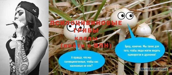 дживик Бронницы