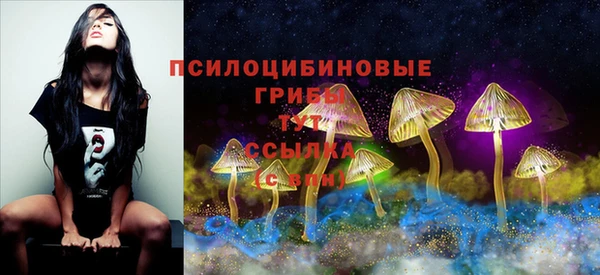 Альфа ПВП Беломорск