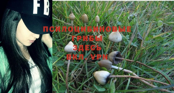 МДПВ Белоозёрский