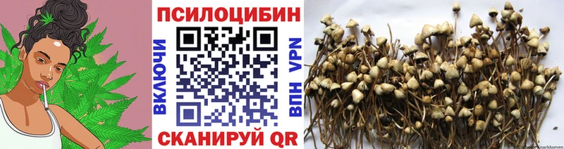 Псилоцибиновые грибы MAGIC MUSHROOMS  Гороховец 