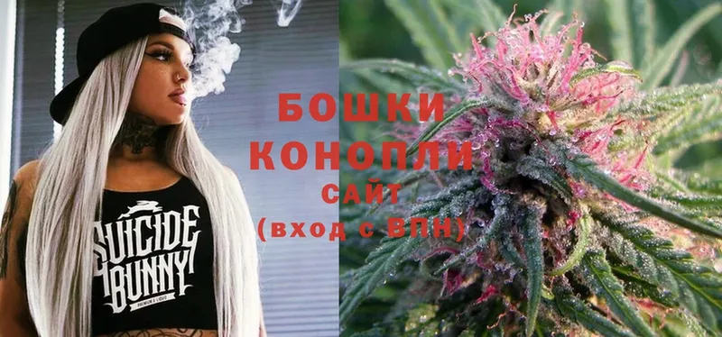 Бошки марихуана Ganja  маркетплейс какой сайт  Гороховец  как найти закладки 